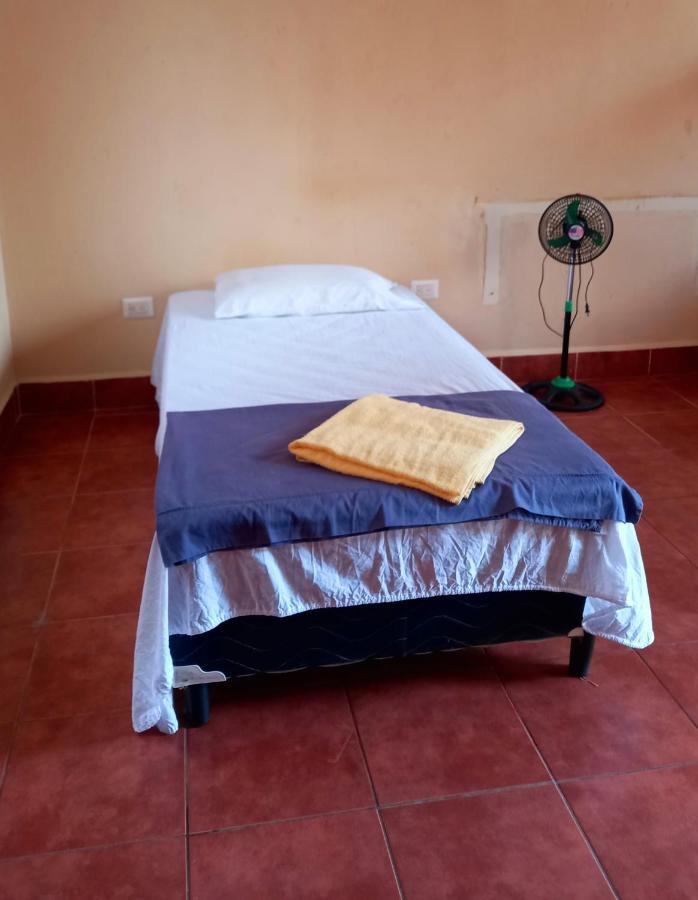Hostal Don Gato Granada Exteriör bild